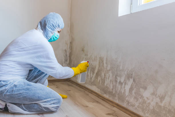 Licensed Mold Remediation service in Flower Mound, TX - WQB Mold Removal