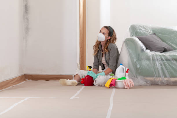 Reliable Mold Remediation contractor in Flower Mound, TX by WQB Mold Removal
